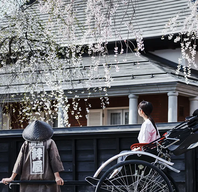 武家屋敷 しだれ桜